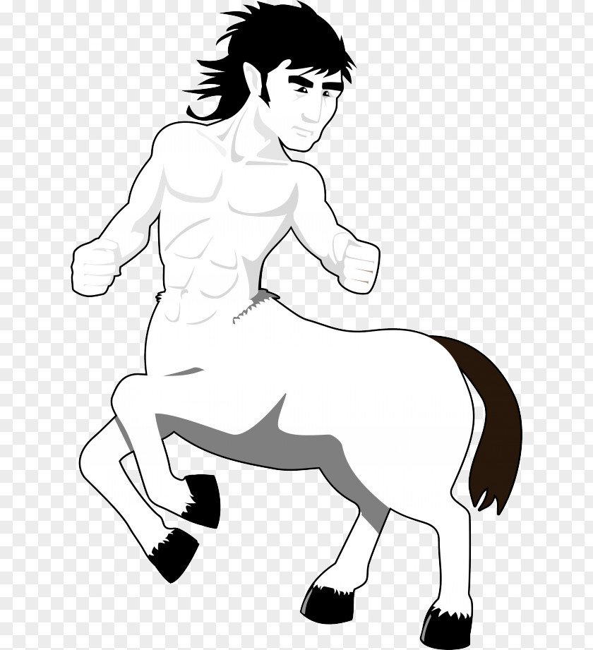 Female Centaur Pictures Clip Art PNG