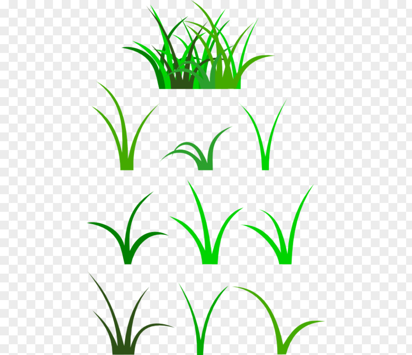 Free Grass Cliparts Blade Content Clip Art PNG
