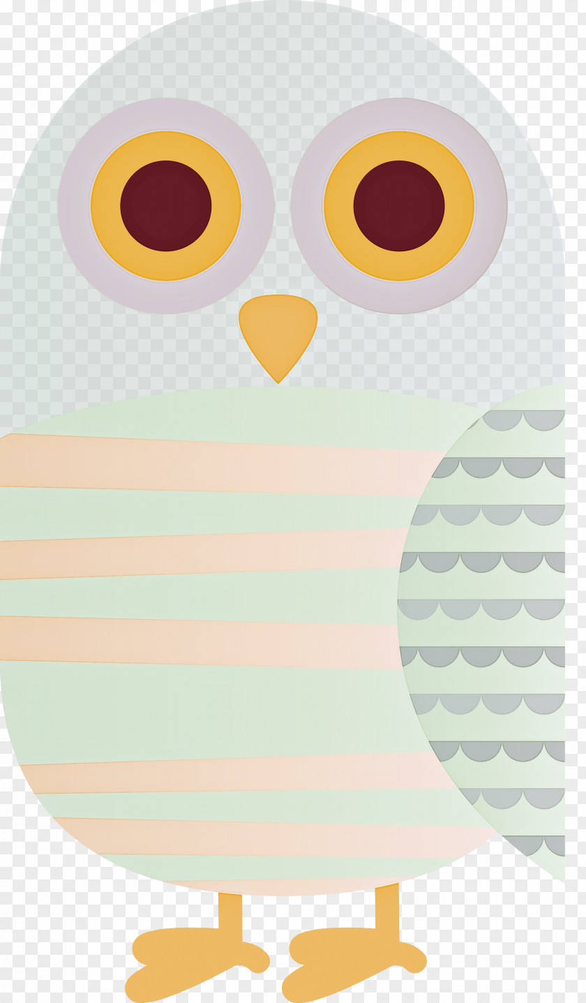 Owls Birds Beak Bald Eagle Eurasian Eagle-owl PNG