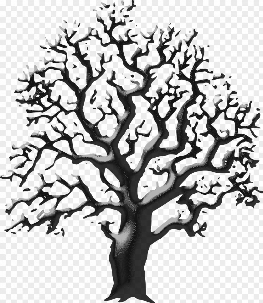 Tree Line Art Drawing Clip Vector Graphics PNG