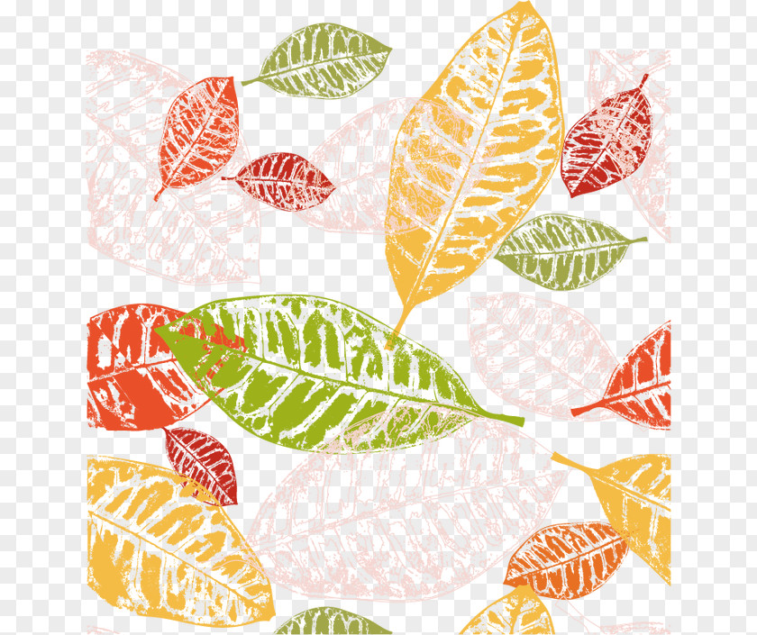 Vector Leaves Autumn Leaf Color Euclidean PNG