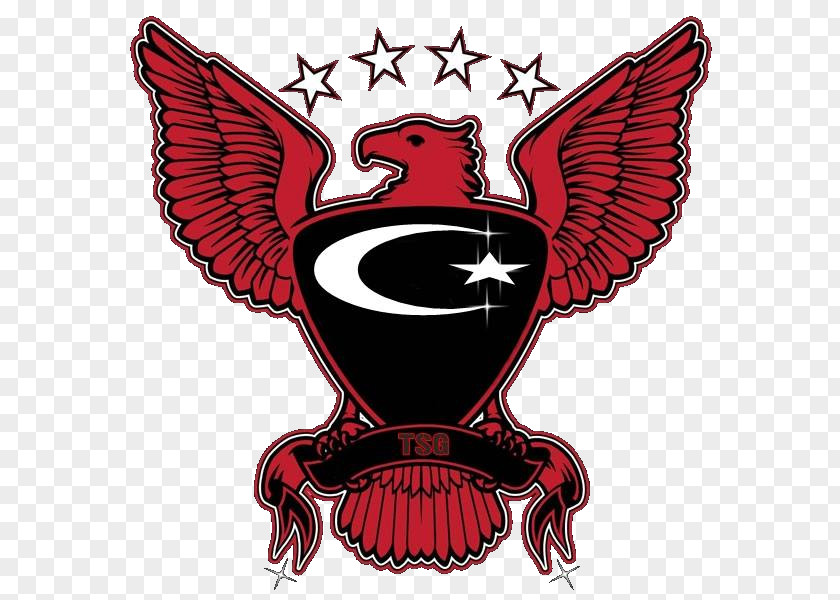 Atlanta Hawks Iron-on Logo PNG