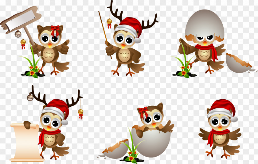 Christmas Cartoon Animals Owl Drawing Clip Art PNG