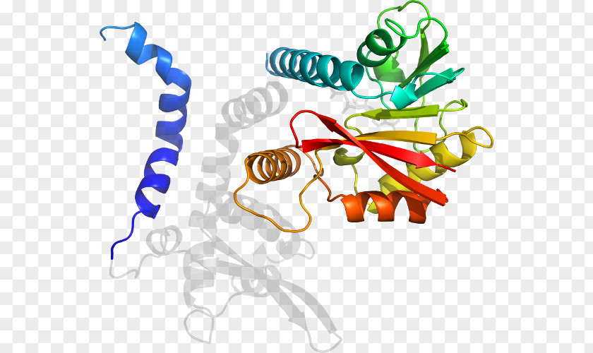 Medicago Organism Line Clip Art PNG