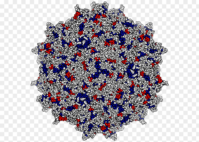 Sterilized Virus Antibody Adeno-associated Neutralizing HIV PNG