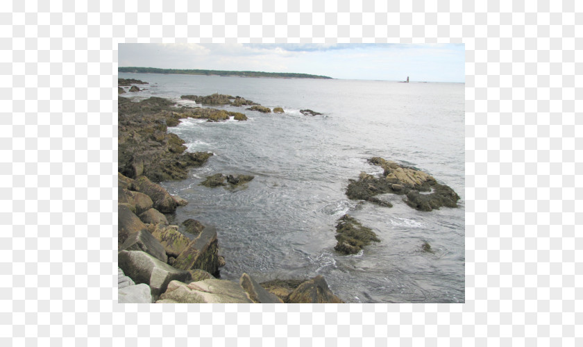 Wood Coast Shore Promontory Headland Tide PNG