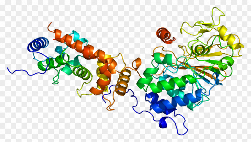 Aromaterapia O Uso Terapeutico Das Ervas Calcineurin Phosphatase Protein Threonine Serine PNG