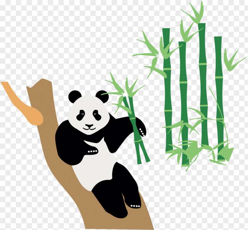 Bamboo Panda China Japan Icon PNG
