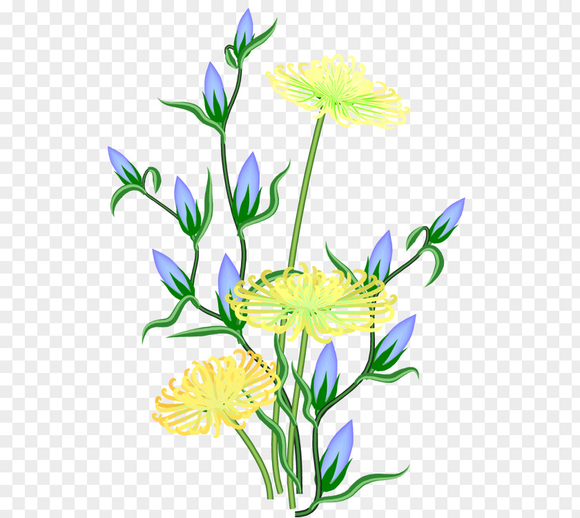 Flower Clip Art Image Openclipart Vector Graphics PNG