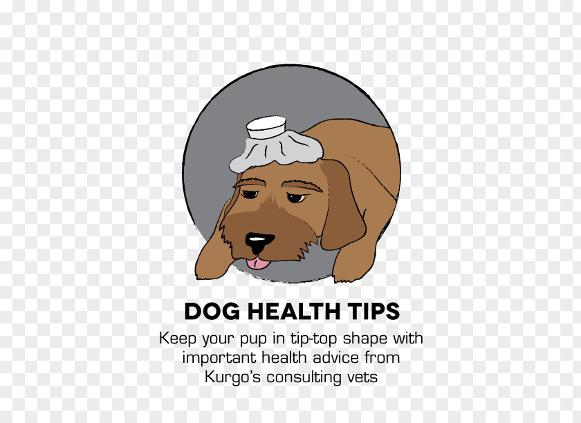 Health Tips Puppy Dog Training Kurgo PNG