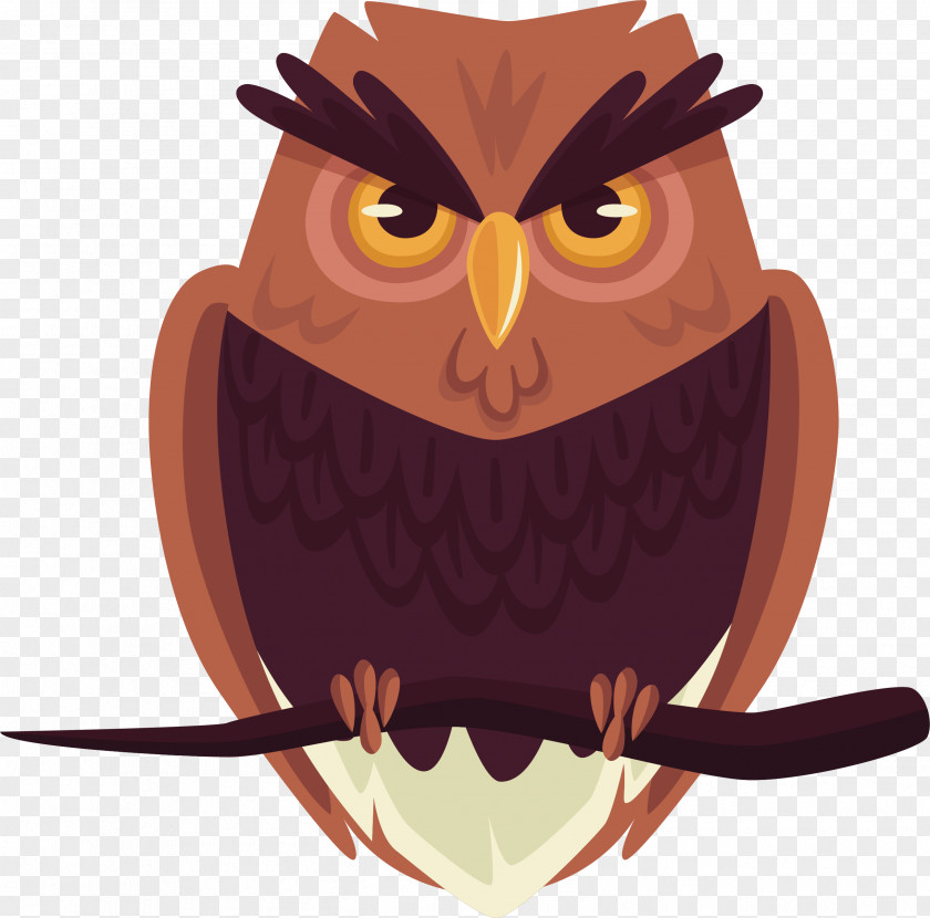 Magic Owl Bird PNG