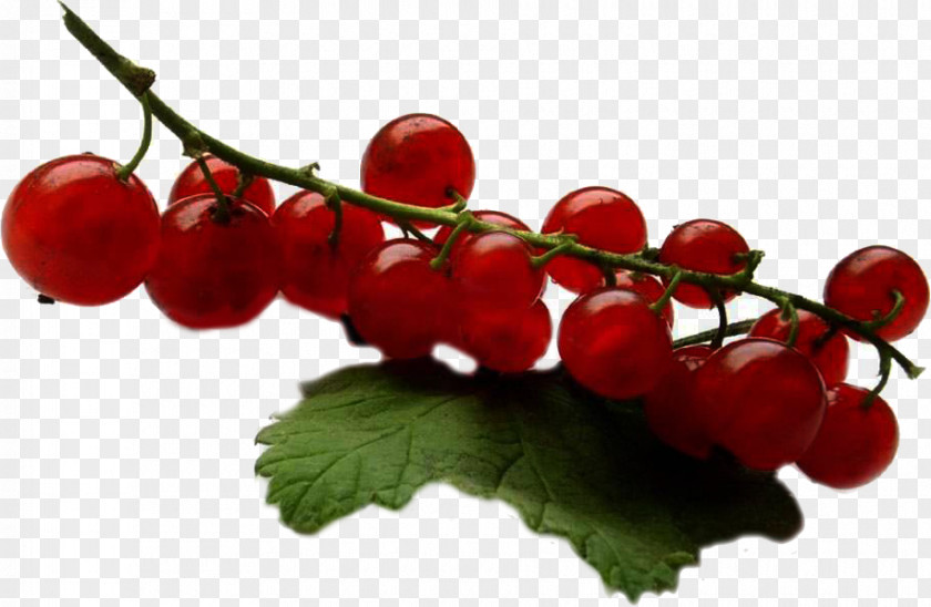 Redcurrant Fruit Jam Auglis Varenye PNG