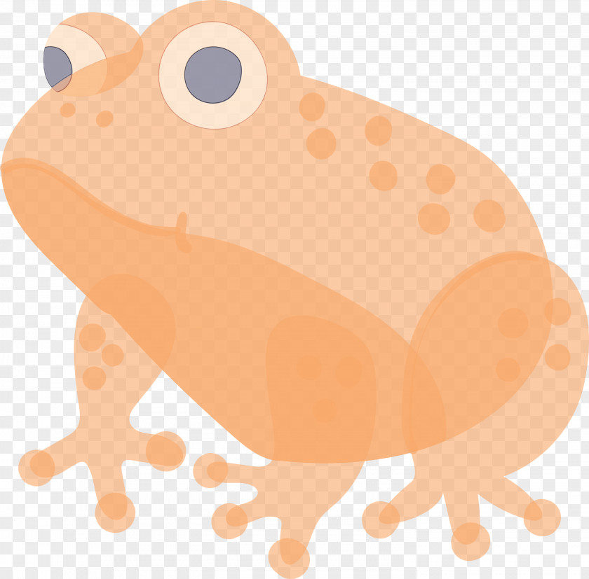 Toad Anaxyrus Wood Frog True PNG
