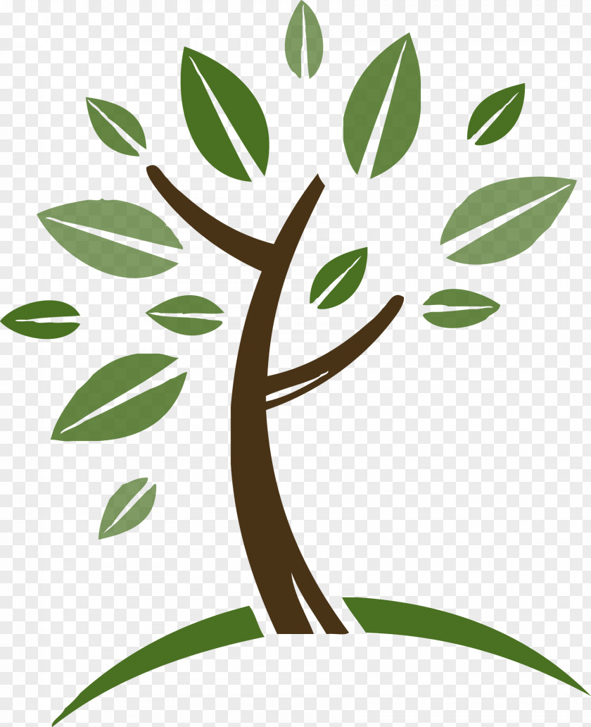 Tree Monday's Wee Read! Story Time Urban Forestry Wood Clip Art PNG
