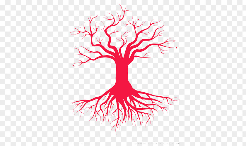Tree Of Life PNG of life clipart PNG