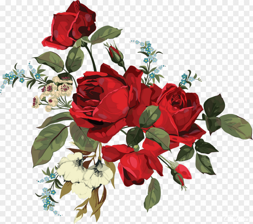 Attractive Rose Garden Roses Flower Clip Art PNG