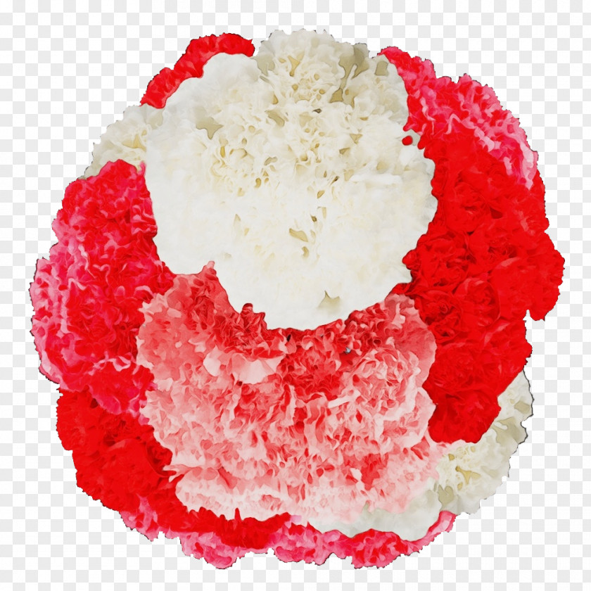 Carnation Cut Flowers Whipped Cream Petal Flavor PNG