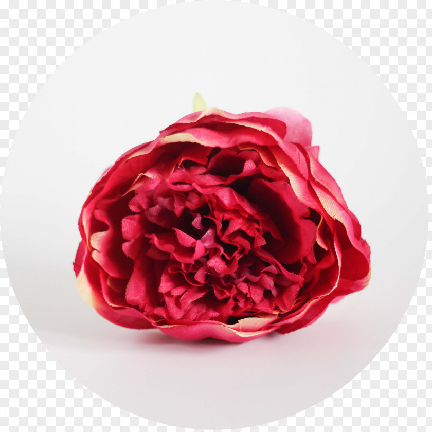 Peony Garden Roses Red Cabbage Rose Green PNG