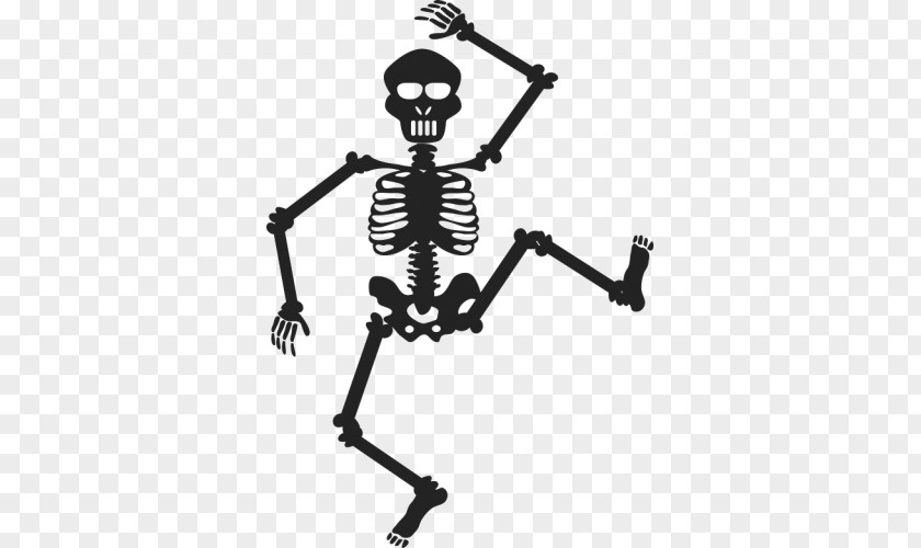 Skeleton Human Chiropractic Bone PNG
