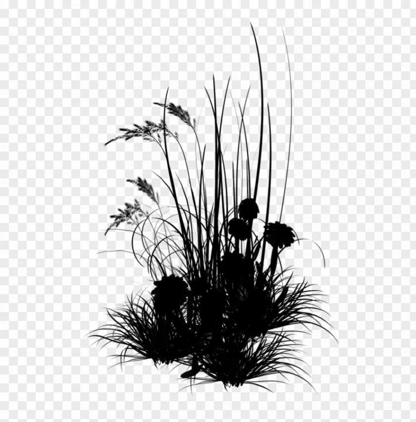 Young Living IMVU Flower Grasses Cell PNG