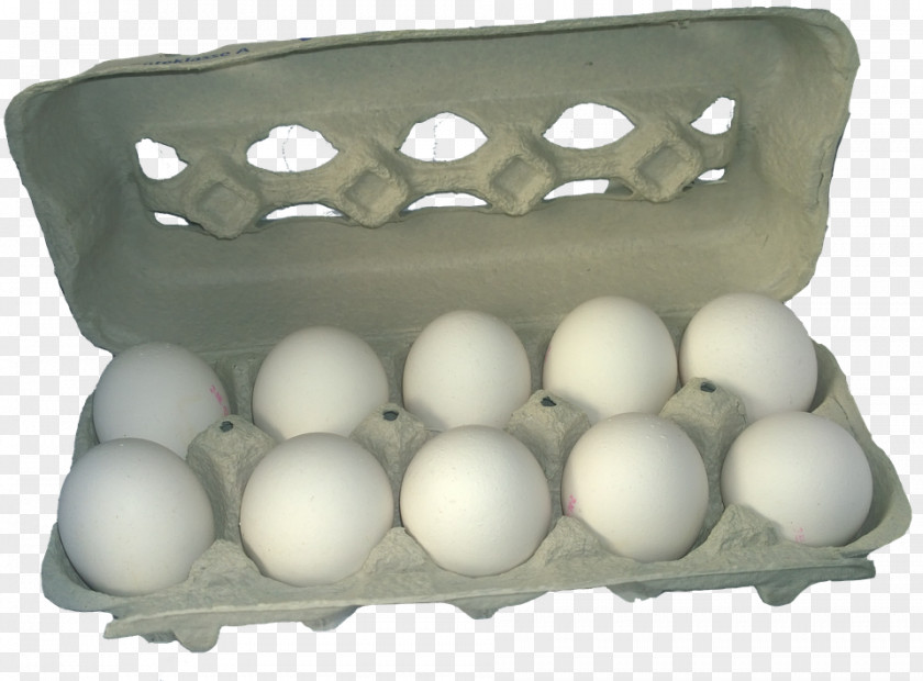 Egg Roll Chicken Carton PNG