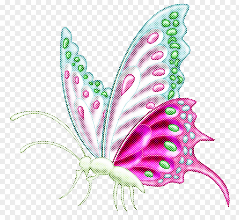 Butterfly Moths And Butterflies Insect Wing Pink PNG