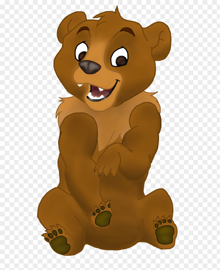 Cartoon Bear Lion Koda Drawing PNG