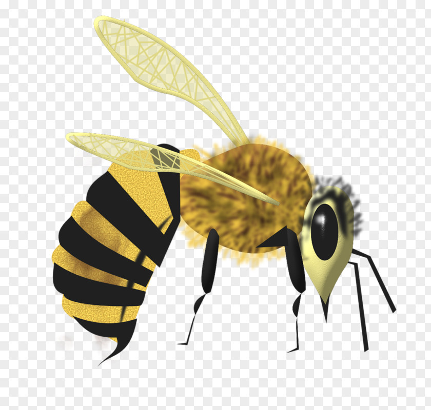 Cartoon Bee Honey PNG