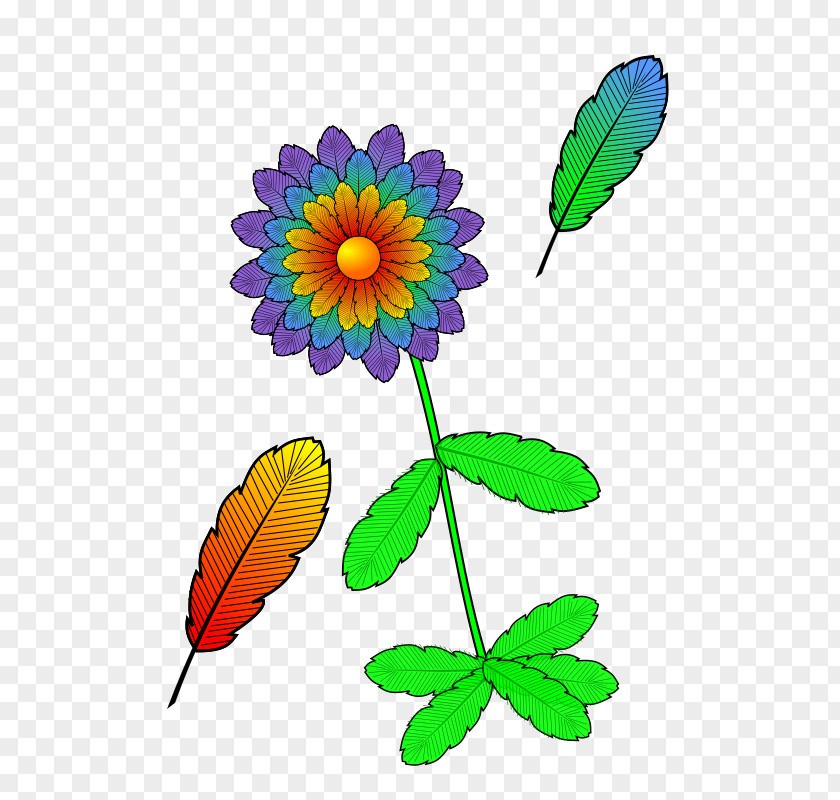 Flowers And Feathers Art Clip PNG