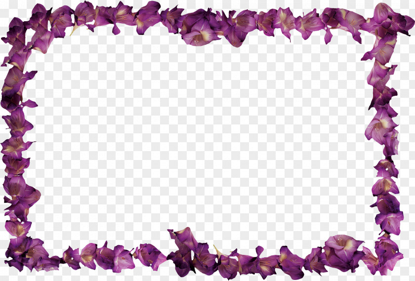 Fruit Border Picture Frames PNG