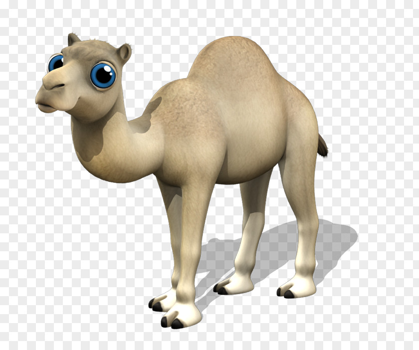 Red Badge Dromedary Camelids Animation PNG