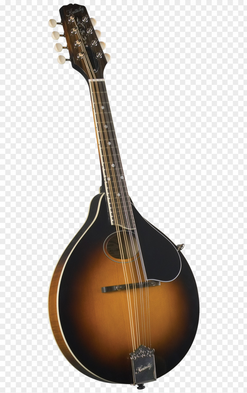 Sitar Kentucky Mandolin Ukulele Musical Instruments Bluegrass PNG