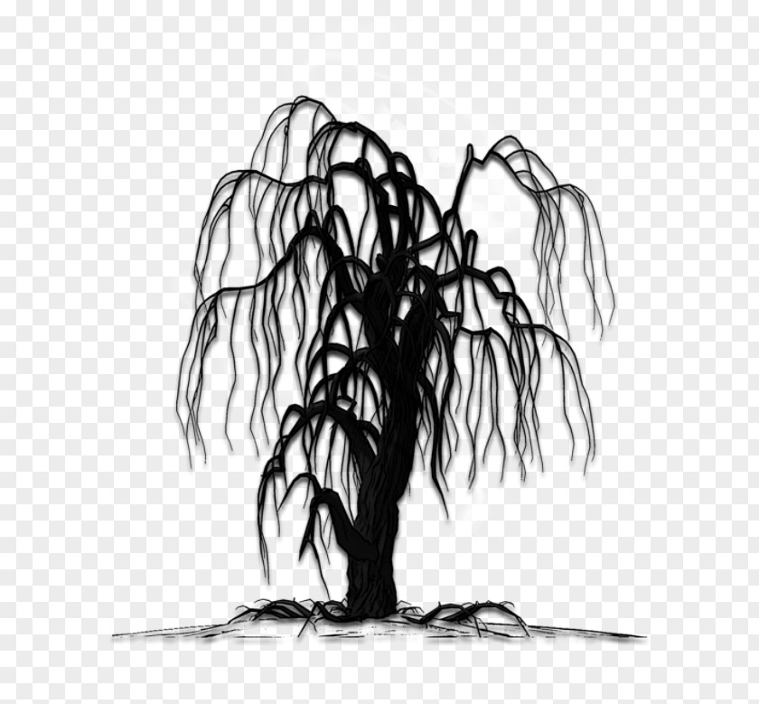 Tree Black And White PNG