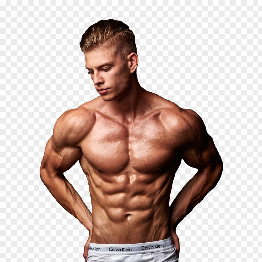Aesthetics Muscle Bodybuilding YouTube The Weekend Movie PNG