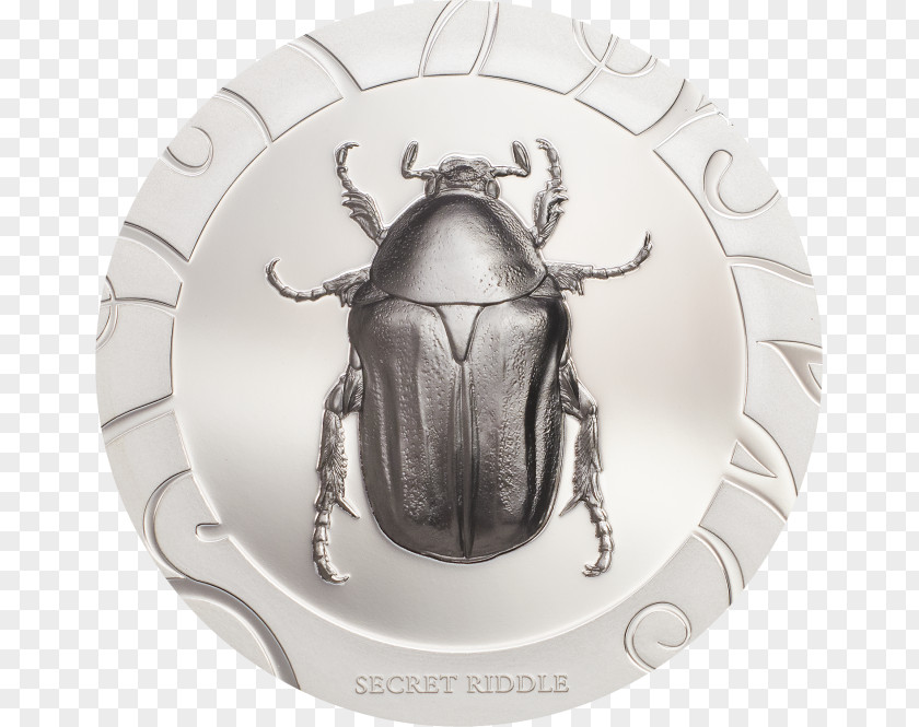 Beetle Silver Proof Coinage Scarab PNG
