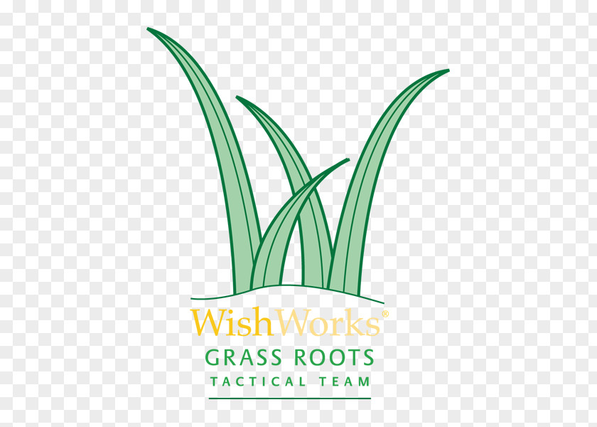 Grass Roots Leaf Logo Grasses Plant Stem Font PNG