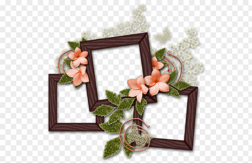 Image Design Adobe Photoshop Picture Frames PNG