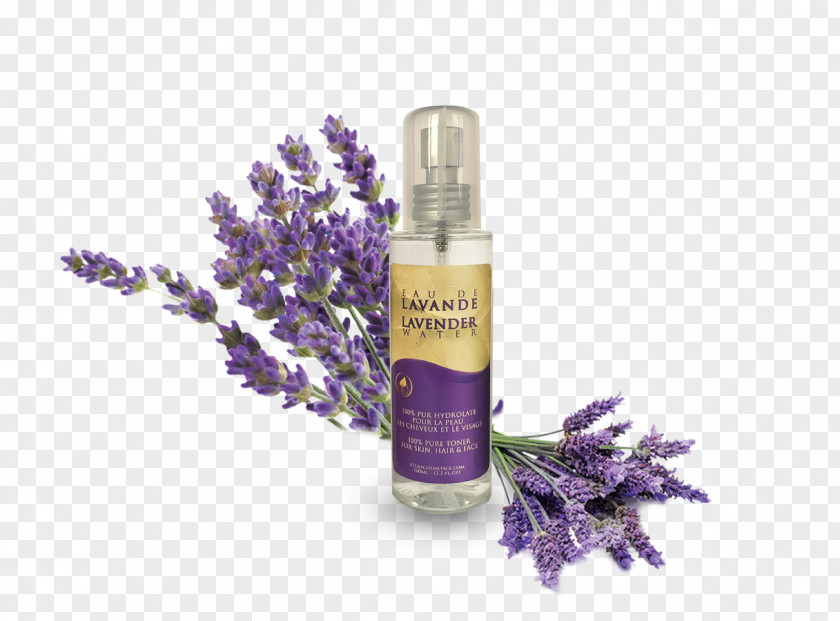Perfume Herbal Distillate Lavender Essential Oil Henna PNG
