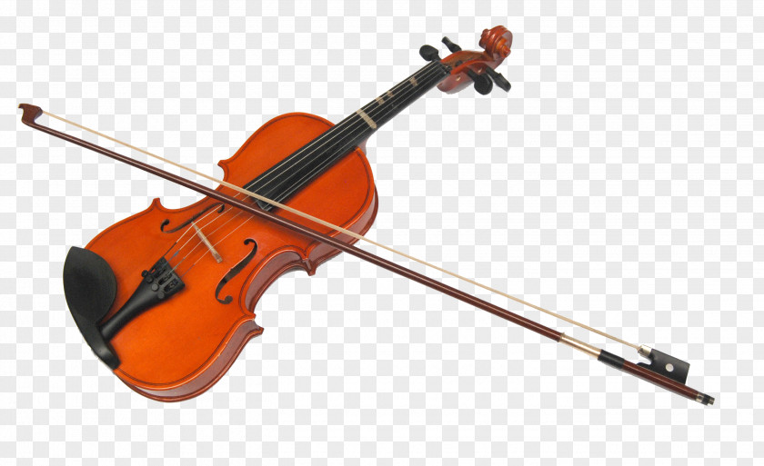 Violin Musical Instrument Chordophone String Membranophone PNG