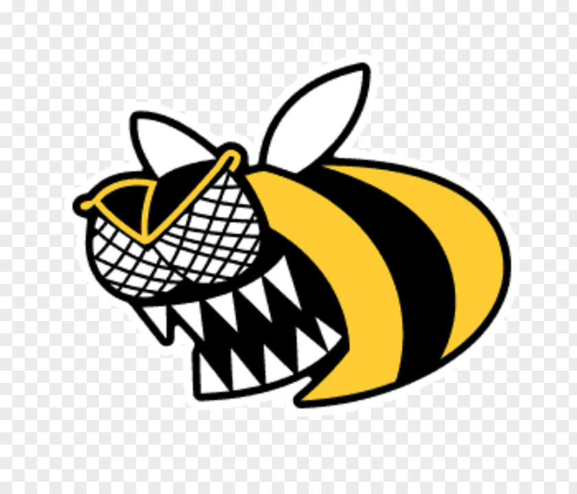 Bee Western Honey Africanized Sting Clip Art PNG