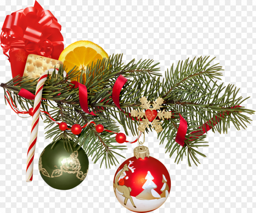 Branch Ornament Christmas Ornaments Decoration PNG