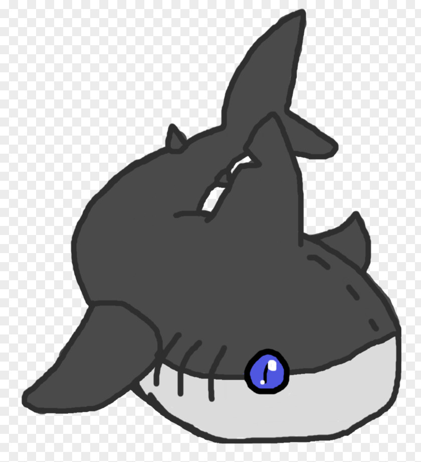 Cat Whiskers Shark Dolphin Dog PNG