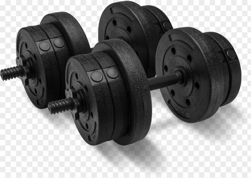 Dumbbell Physical Strength Weight Training Fitness PNG