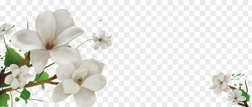 Floral Background Cape Jasmine Flower Design PNG