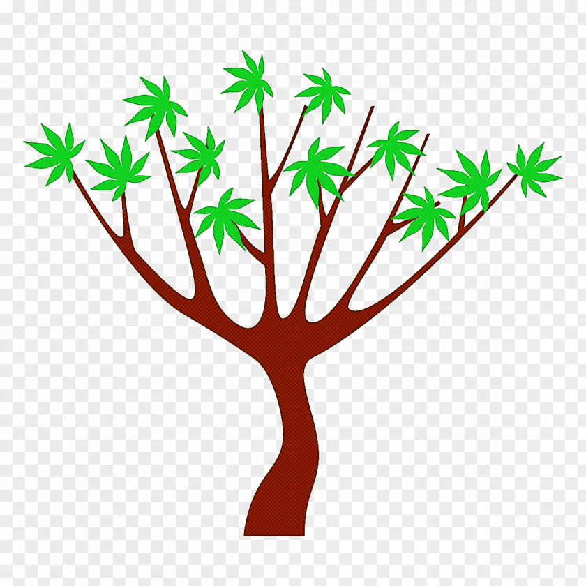 Leaf Tree Plant Stem Branch PNG