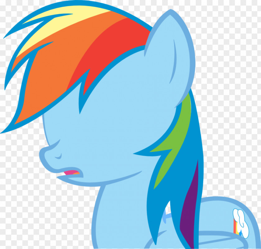 My Little Pony Rainbow Dash Applejack PNG