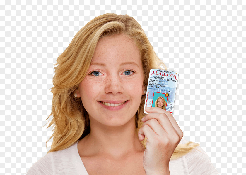 Driving Alabama Driver's License Learner's Permit PNG