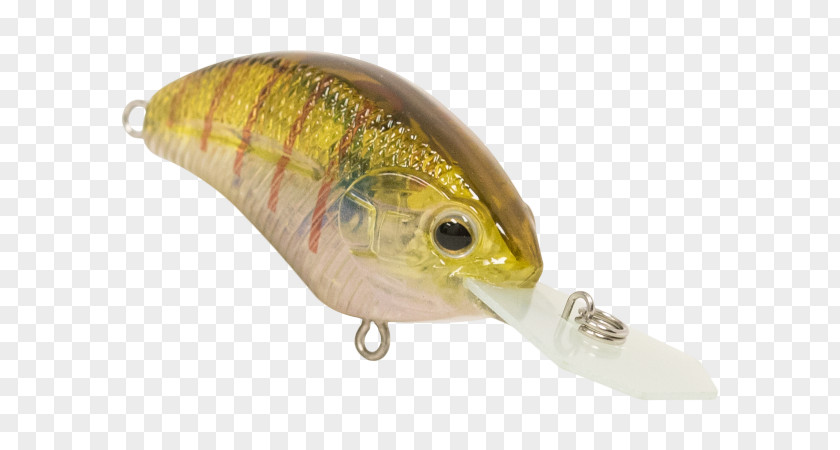 Northern Pike Spoon Lure Oily Fish Perch AC Power Plugs And Sockets PNG