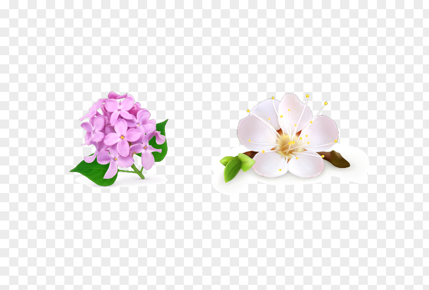 Pear Flowers Flower Drawing Royalty-free Floral Design PNG