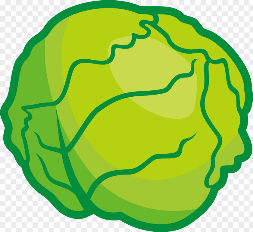 Small Fresh Green Cabbage Profiterole Vegetable Clip Art PNG